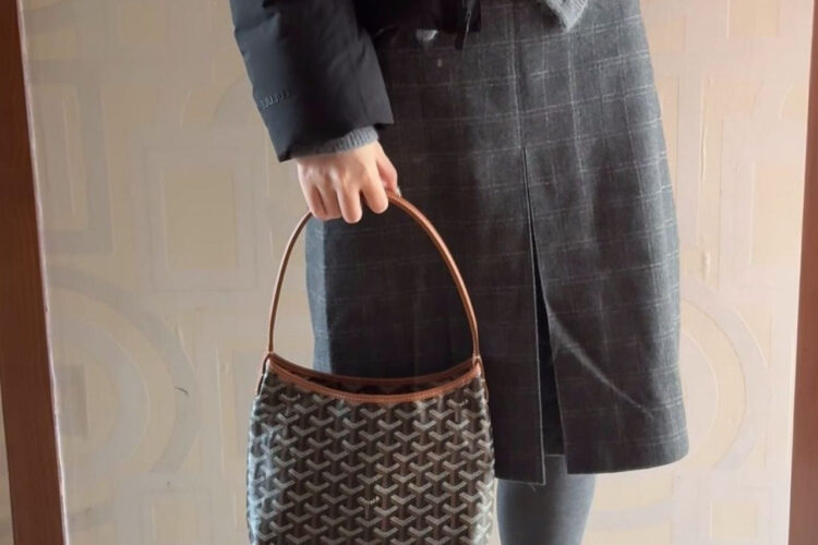 Túi Goyard Mini Bohème Hobo Goyardine Canvas Black Tan