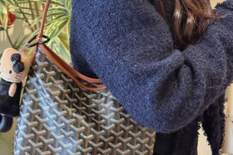 Túi Goyard Mini Bohème Hobo Goyardine Canvas Black Tan