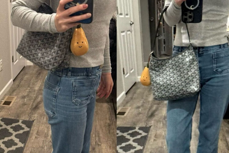 Túi Goyard Mini Bohème Hobo Goyardine Canvas Grey Màu Xám