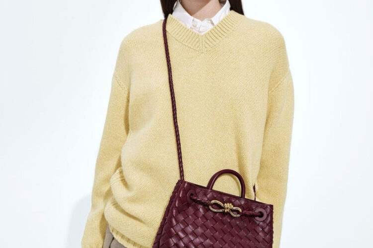 Túi Bottega Small Andiamo Intrecciato Barolo Red Lambskin 25CM Màu Đỏ