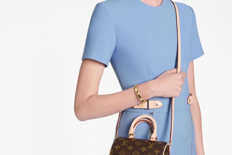 Túi LV Nano Speedy Monogram Canvas M61252 Màu Nâu