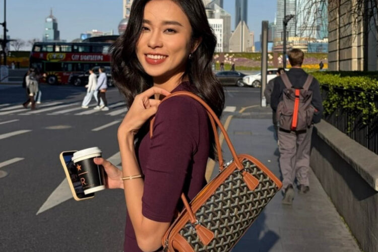 Túi Goyard Bonbonnière Bag Black Tan Goyardine Canvas Nâu đen