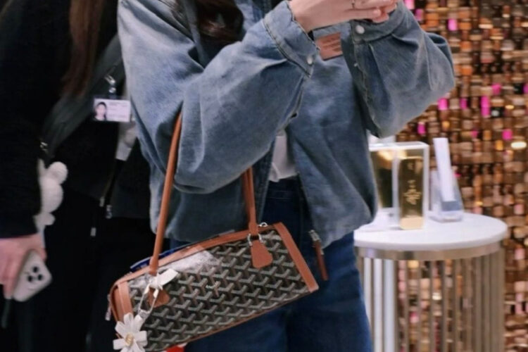Túi Goyard Bonbonnière Bag Black Tan Goyardine Canvas Nâu đen