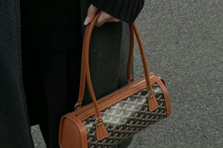 Túi Goyard Bonbonnière Bag Black Tan Goyardine Canvas Nâu Đen