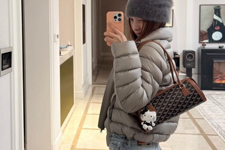 Túi Goyard Bonbonnière Bag Black Tan Goyardine Canvas Nâu Đen