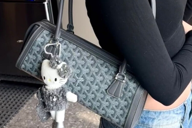 Túi Goyard Bonbonnière Bag Grey Goyardine Canvas Màu Xám
