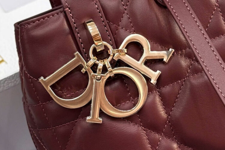 Túi Small Dior Toujours Vertical Tote Bag Burgundy Macrocannage Calfskin đỏ